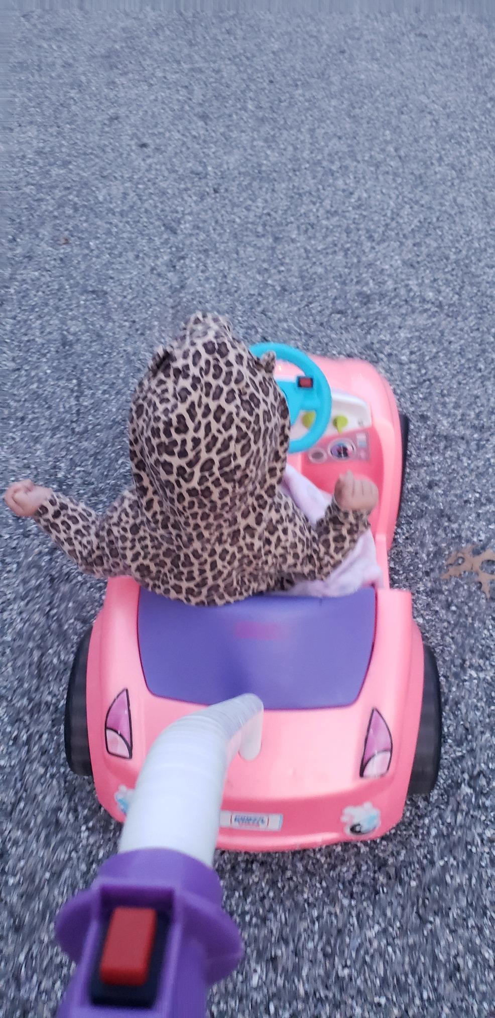 Customer review photo from Robert Overturf